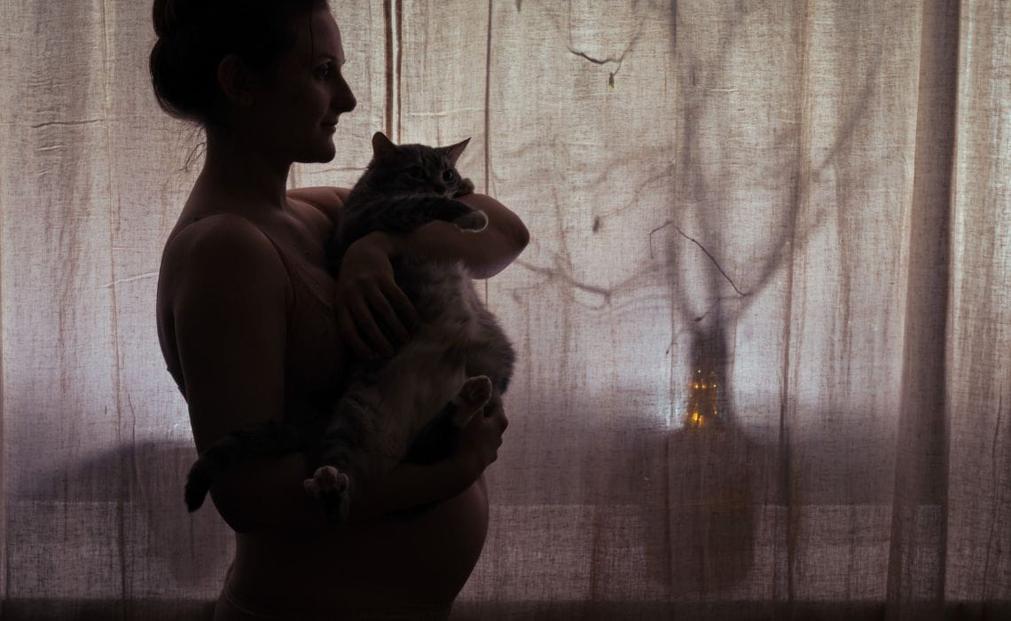 toxoplasmosis durante el embarazo